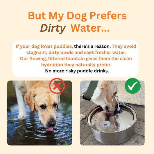 📦 free shipping📦Automatic circulating water 3.2L large capacity cat and dog water feeder