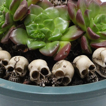 🎁Halloween Eve Promotions 🔥 Adorable Mini Skull Set (40 PCS)